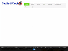Tablet Screenshot of gattiledicarpi.it